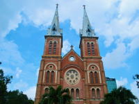 �x�g�i����