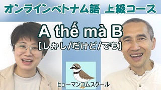 �I�����C���x�g�i����u���E�㋉�R�[�X